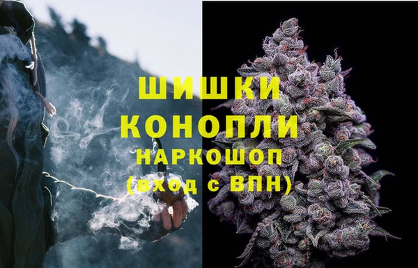 СК Пересвет