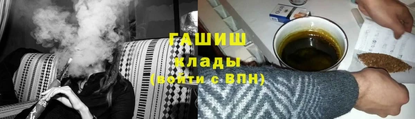 СК Пересвет