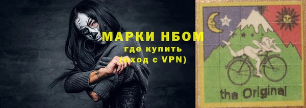 СК Пересвет
