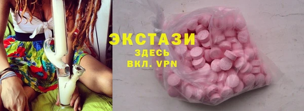 СК Пересвет