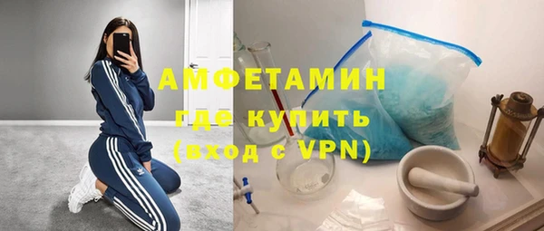 СК Пересвет