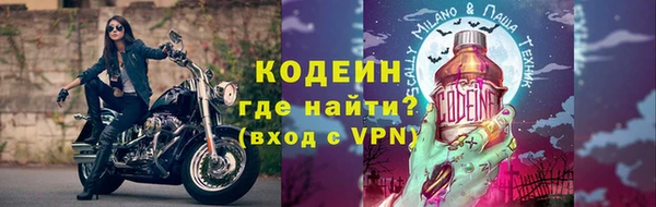 СК Пересвет