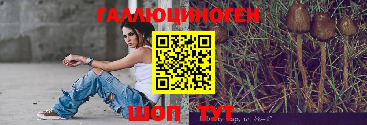 Псилоцибиновые грибы Magic Shrooms  Ейск 